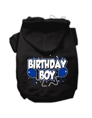 Birthday Boy Screen Print Pet Hoodies Black Size Lg