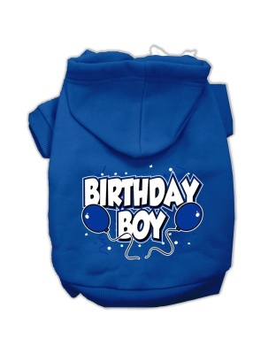 Birthday Boy Screen Print Pet Hoodies Blue Size Lg