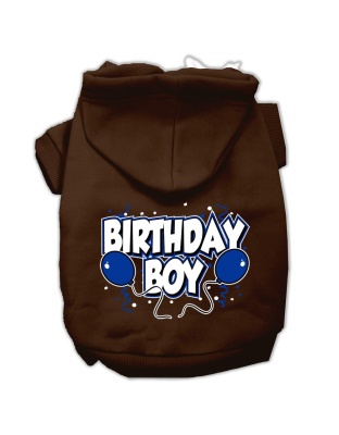 Birthday Boy Screen Print Pet Hoodies Brown Size Lg