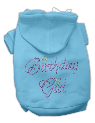 Birthday Girl Hoodies Baby Blue L