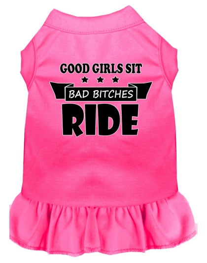 Bitches Ride Screen Print Dog Dress Bright Pink 4X (22)