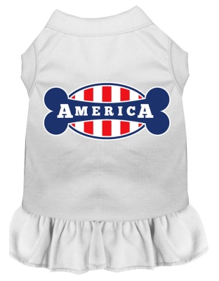 Bonely in America Screen Print Dress White 4X (22)