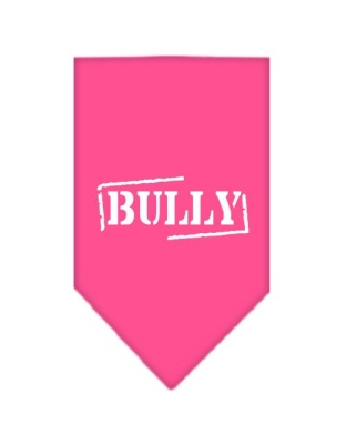 Bully Screen Print Bandana Bright Pink Large