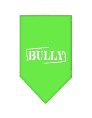 Bully Screen Print Bandana Lime Green Large