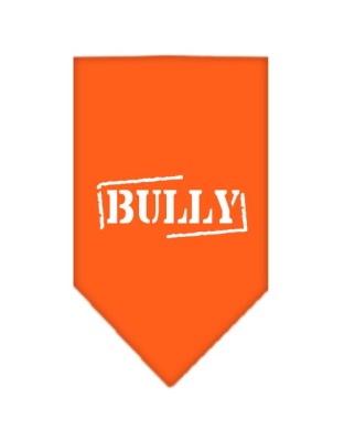 Bully Screen Print Bandana Orange Large