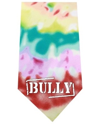 Bully Screen Print Bandana Tie Dye