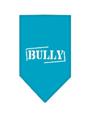 Bully Screen Print Bandana Turquoise Large