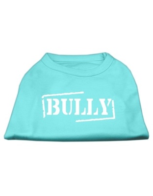 Bully Screen Printed Shirt Aqua Lg