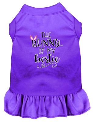 Bunny is my Bestie Screen Print Dog Dress Purple 4X (22)
