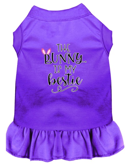 Bunny is my Bestie Screen Print Dog Dress Purple 4X (22)