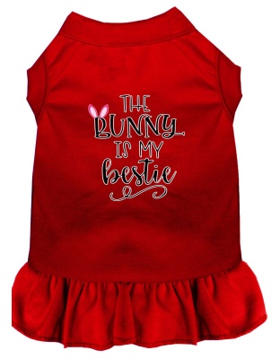 Bunny is my Bestie Screen Print Dog Dress Red 4X (22)