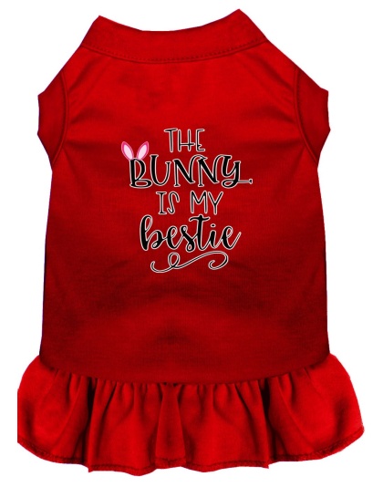 Bunny is my Bestie Screen Print Dog Dress Red 4X (22)