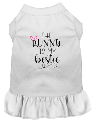 Bunny is my Bestie Screen Print Dog Dress White 4X (22)