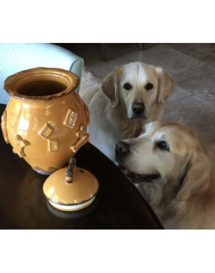 Aqua/Green - Dog Treat Jar - Jar