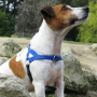 Blue - Freedom Harness - Large to 130 lbs.