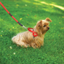 Black - Freedom Harness - Extra Small to 10 lbs.