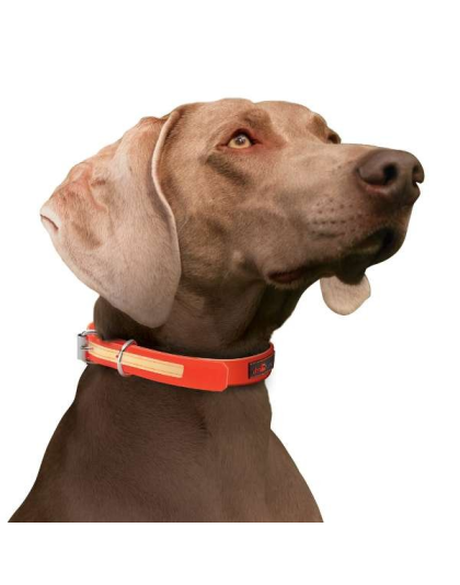 Blue - Play Glow Collar - 18"x1"