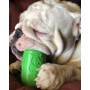Orange Squeeze - SP Can Toy Durable Rubber Chew Toy & Treat Dispenser  - Small