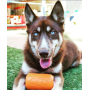 Lemon Lime - SP Can Toy Durable Rubber Chew Toy & Treat Dispenser  - Large