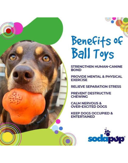 Orange Squeeze - SP Crazy Bounce Ultra Durable Rubber Chew & Retrieving Toy - Large