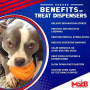 Orange - MKB Roasted Turkey Durable Rubber Chew Toy & Treat Dispenser  - Medium