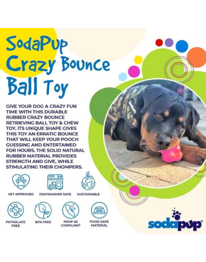 Pink - SP Crazy Bounce Ultra Durable Rubber Chew & Retrieving Toy  - Large