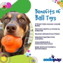 Pink - SP Crazy Bounce Ultra Durable Rubber Chew & Retrieving Toy  - Large