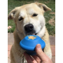 BLUE - SN Flying Saucer Durable Rubber Chew Toy & Treat Dispenser - Medium