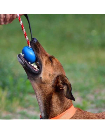 Blue - USA-K9 Cherry Bomb Durable Rubber Chew Toy, Treat Dispenser, Reward Toy, Tug Toy, and Retrieving Toy - Large