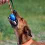 Red - USA-K9 Cherry Bomb Durable Rubber Chew Toy, Treat Dispenser, Reward Toy, Tug Toy, and Retrieving Toy - Large