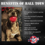 Red - USA-K9 Stars and Stripes Ultra-Durable Rubber Chew Ball - L