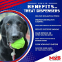 Green - MKB Bull Frog Durable Rubber Chew Toy & Treat Dispenser - Large
