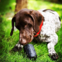 Black - SP Magnum Can Toy Ultra Durable Rubber Chew Toy & Treat Dispenser  - XL