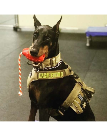 Black - USA-K9 Grenade Durable Rubber Chew Toy, Treat Dispenser, Reward Toy, Tug Toy, and Retrieving Toy - Large