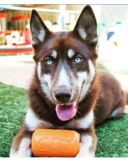 Orange Squeeze - SP Can Toy Durable Rubber Chew Toy & Treat Dispenser  - XL