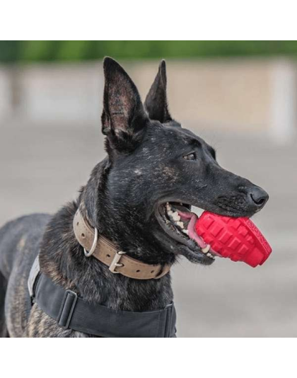Pink - USA-K9 Puppy Grenade Durable Rubber Chew Toy & Treat Dispenser for Teething Pups - Large