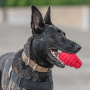 Pink - USA-K9 Puppy Grenade Durable Rubber Chew Toy & Treat Dispenser for Teething Pups - Large
