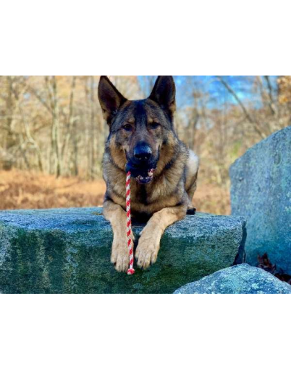 Black - USA-K9 Skull Durable Rubber Chew Toy, Treat Dispenser, Reward Toy, Tug Toy, and Retrieving Toy - Large