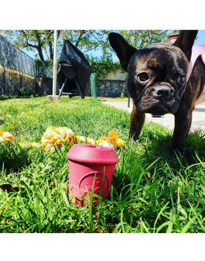 Pink - Coffee Cup Durable Rubber Chew Toy and Treat Dispenser - Medium