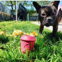 Pink - Coffee Cup Durable Rubber Chew Toy and Treat Dispenser - Medium