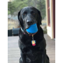 Blue - SN Space Capsule Durable Rubber Chew Toy & Treat Dispenser - Large