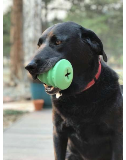 Green - MKB Christmas Tree Durable Rubber Chew Toy & Treat Dispenser  - Large