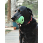 Green - MKB Christmas Tree Durable Rubber Chew Toy & Treat Dispenser  - Large