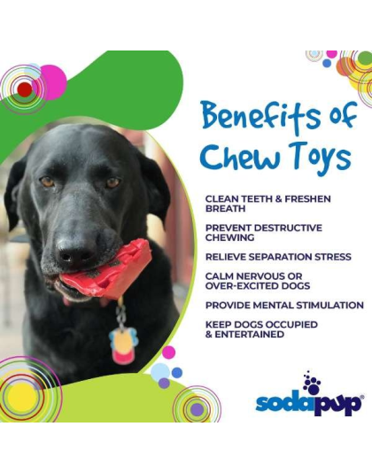 Red - SP Cherry Pie Ultra Durable Nylon Dog Chew Toy and Treat Holder for Aggressive Chewers - OSFA