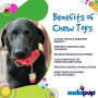 Red - SP Cherry Pie Ultra Durable Nylon Dog Chew Toy and Treat Holder for Aggressive Chewers - OSFA