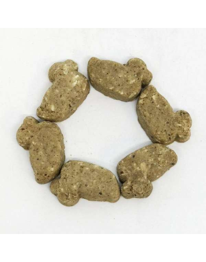 DT Dogtastic Salmon & Coconut Ducks Dog Treats - 4 oz