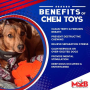 Orange - MKB Turkey  Ultra Durable Nylon Dog Chew Toy for Aggressive Chewers  - OSFA