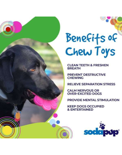 Pink - SP Paw Print Ultra Durable Nylon Dog Chew Toy for Aggressive Chewers  - OSFA