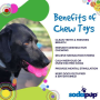 Pink - SP Paw Print Ultra Durable Nylon Dog Chew Toy for Aggressive Chewers  - OSFA