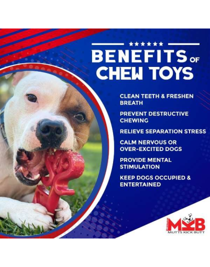 Red - MKB Key to My Heart Ultra Durable Nylon Dog Chew Toy for Aggressive Chewers - OSFA